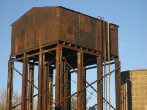 IMG_6355