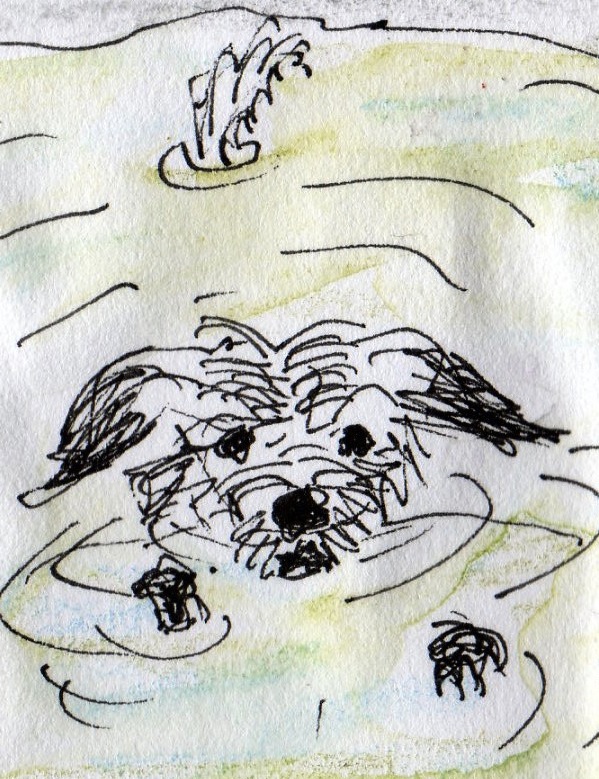 puddler 1261
