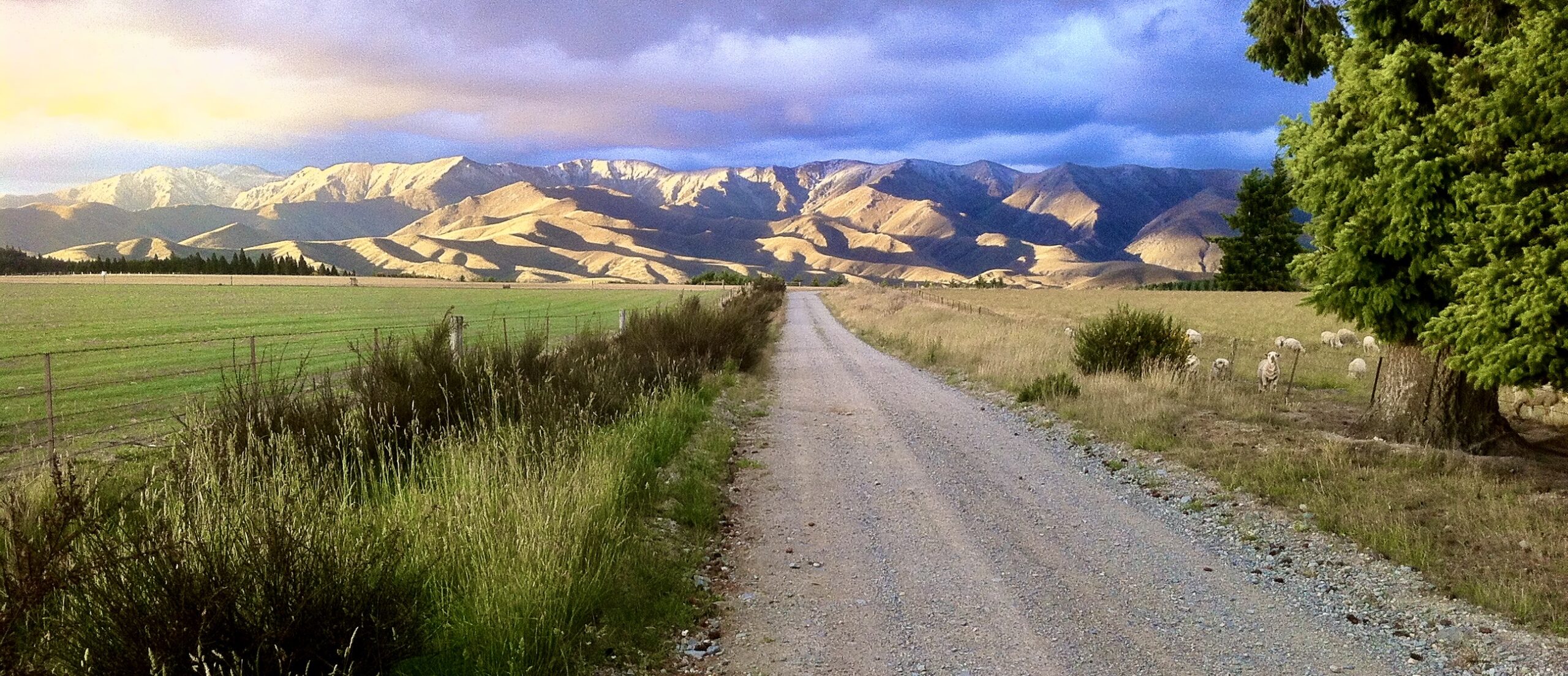 Mt Buster Road in the Maniototo